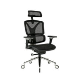 NOUHAUS ErgoPro Ergonomic Office Chair