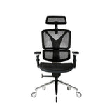 NOUHAUS ErgoPro Ergonomic Office Chair