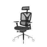 NOUHAUS ErgoPro Ergonomic Office Chair