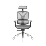 NOUHAUS ErgoPro Ergonomic Office Chair