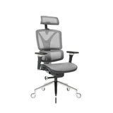NOUHAUS ErgoPro Ergonomic Office Chair