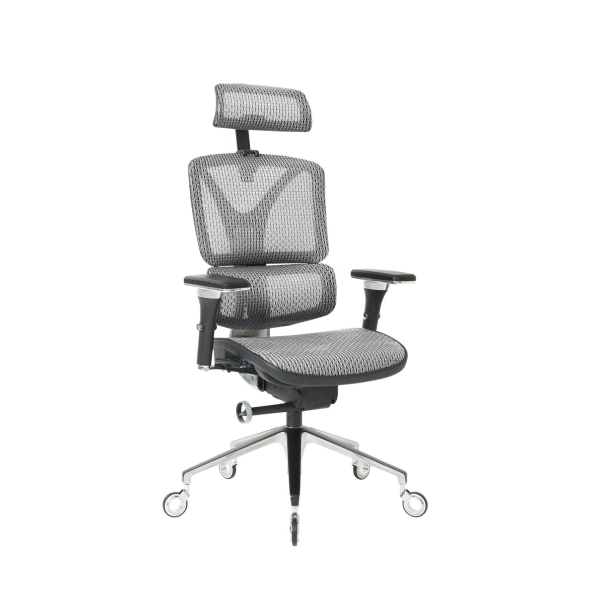 NOUHAUS ErgoPro Ergonomic Office Chair