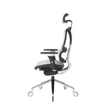 NOUHAUS ErgoPro Ergonomic Office Chair