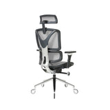 NOUHAUS ErgoPro Ergonomic Office Chair