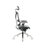 NOUHAUS ErgoPro Ergonomic Office Chair