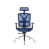 NOUHAUS ErgoPro Ergonomic Office Chair