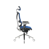 NOUHAUS ErgoPro Ergonomic Office Chair