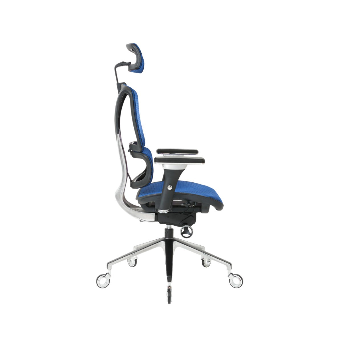 NOUHAUS ErgoPro Ergonomic Office Chair