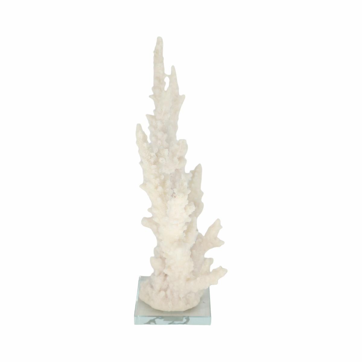Slaterview White Branching Coral on Glass Base