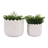 Fultonpark Ivory/White Planters (Set of 2)