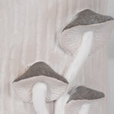 Bricemore Gray Mushroom Applique Planter