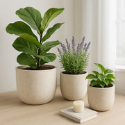 Calexico Ivory Cement Texture Resin Planters (Set of 3) - 22136EC