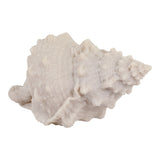 Grantville Tan Resin Sand Cong Shell