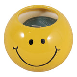Dixonstone Yellow Coconut Goji Smiley Face Candle