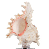 Ramonacrest Clear/White/Ivory Large Decor