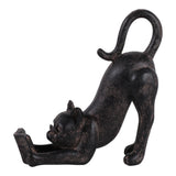 Wilsie Brown Kitty Stretching and Reading