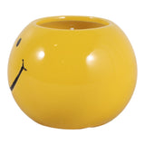 Dixonstone Yellow Coconut Goji Smiley Face Candle