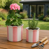 Rafeshaw Pink/White Planters (Set of 2)