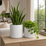 Grahammill White Planters (Set of 2)