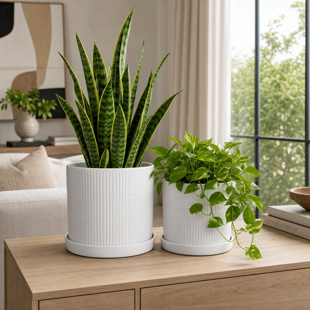 Grahammill White Planters (Set of 2)