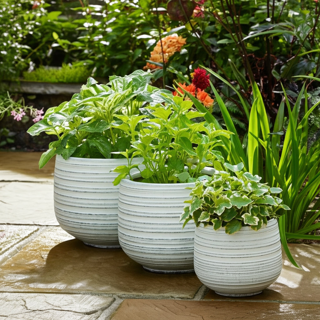 Raymondhaven White Ribbed Planters (Set of 3)
