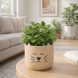 Tuckercrest Tan Planter