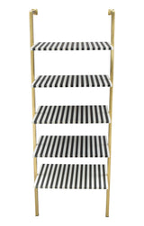 Zebra Multicolor Shelf