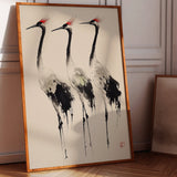 Cranes Tranquil Elegance