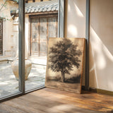 Timeless Oaks