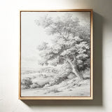 Ancients Tree