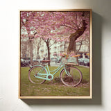 Bicycle Beneath Blossoming Canopy