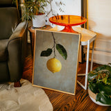 Lemon's Solitude