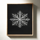 Frosted Elegance