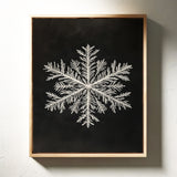 Snow Flake Elegance