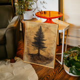 Timber Solitude