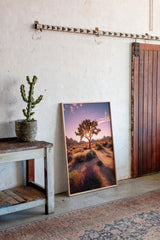 The Sun's Embrace on Desert Sage