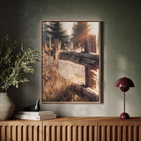 Golden Light on Weathered Wood