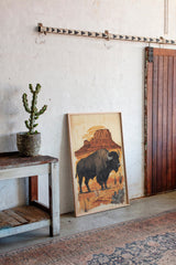 American Western Bison