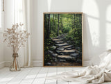 Emerald Pathway Reverie