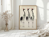 Graceful Cranes