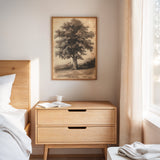 Timeless Oaks