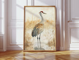 Serenity of the Crane