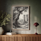 Ancient Woods
