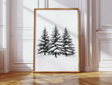 Winter Pines