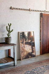 Golden Light on Weathered Wood