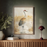 Serenity of the Crane