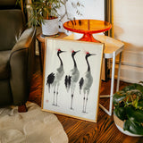 Graceful Cranes