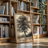 Timeless Oaks