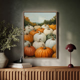 Pumpkin Harvest