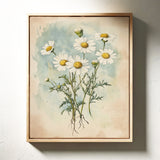 Daisy Dreams